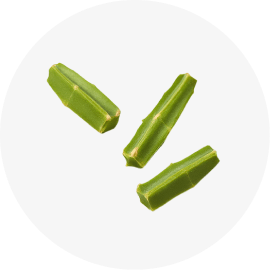 Cissus Quadrangularis 