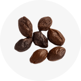 Saw Palmetto Berries