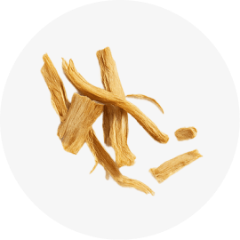 Tongkat Ali / Longjack